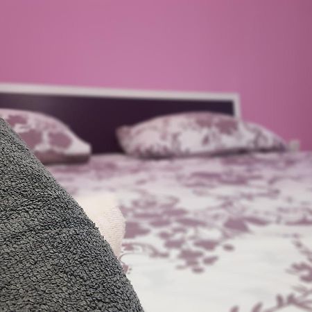 Apartmani Milutin Brodarica  Luaran gambar