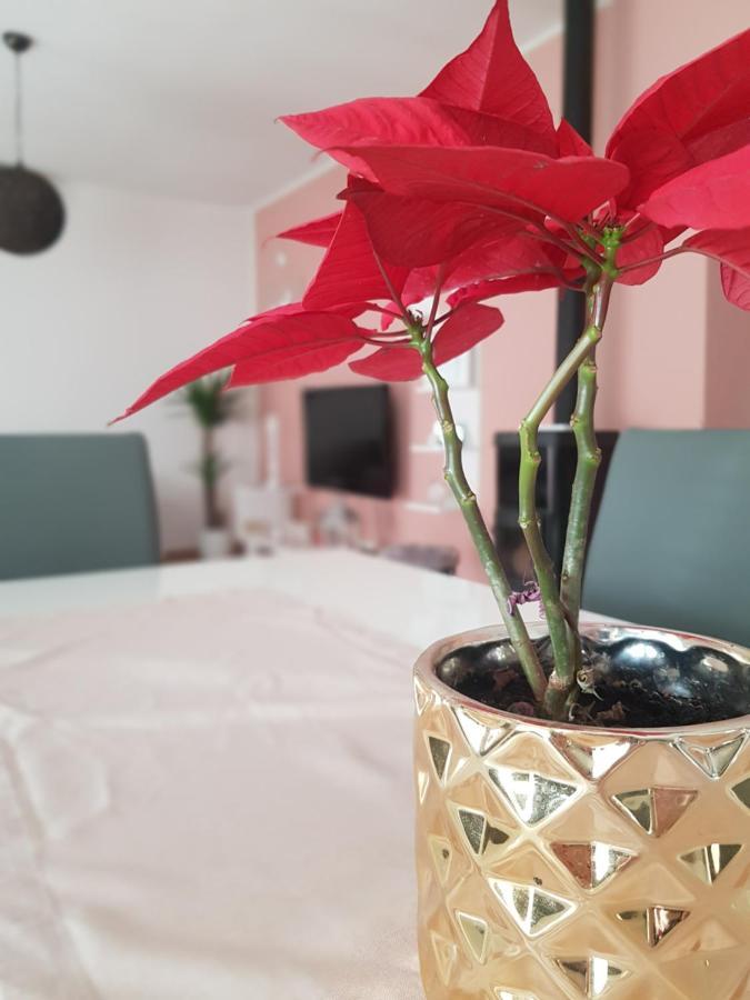 Apartmani Milutin Brodarica  Luaran gambar